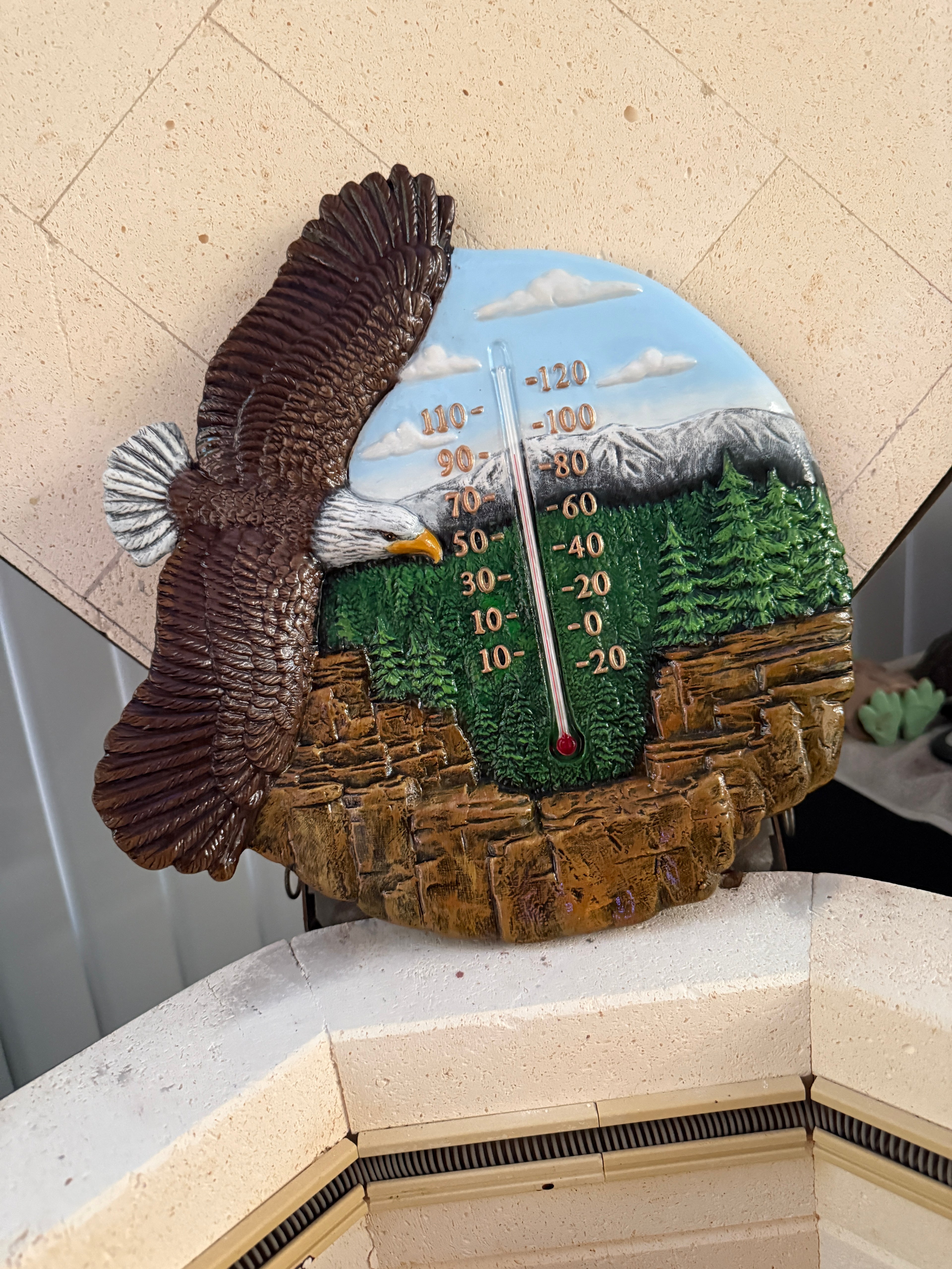 Eagle thermometer